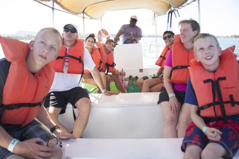 From Cabo: Snorkel with Whale Sharks in La Paz - The Sum Up