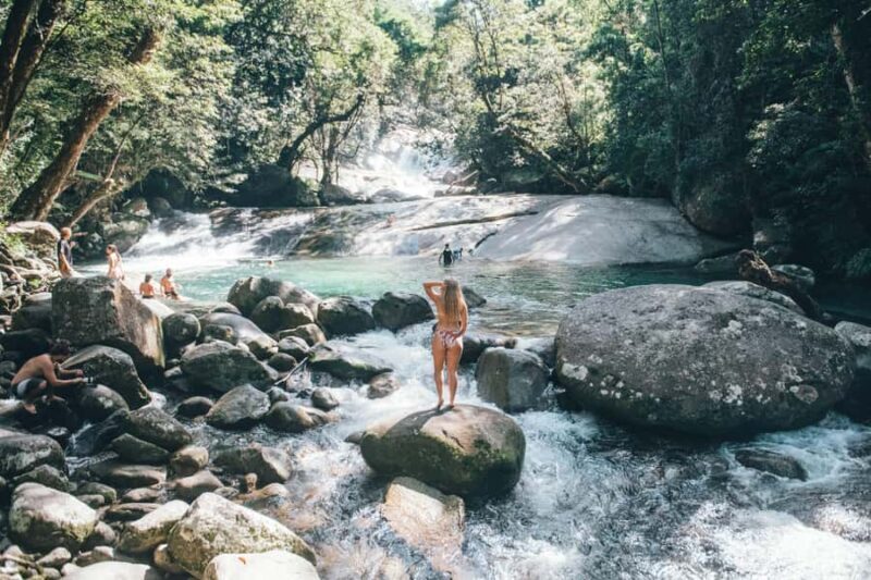 From Cairns: 2-Day Waterfall and Daintree Tour - What to Expect from This 2-Day Tour