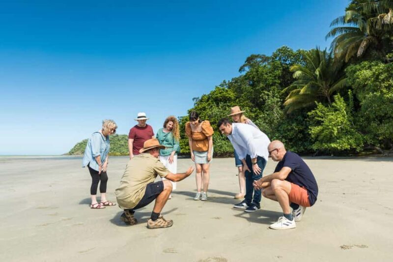 From Cairns: 3-Day Reef, Rainforest, and Outback Package - A Deep Dive into Cairns’ 3-Day Reef, Rainforest, and Outback Package