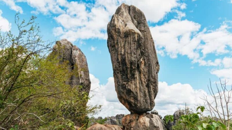 From Cairns: 3-Day Reef, Rainforest, and Outback Package - The Real Value of This Tour