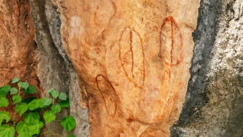 From Cairns: 3-Day Reef, Rainforest, and Outback Package - Final Thoughts