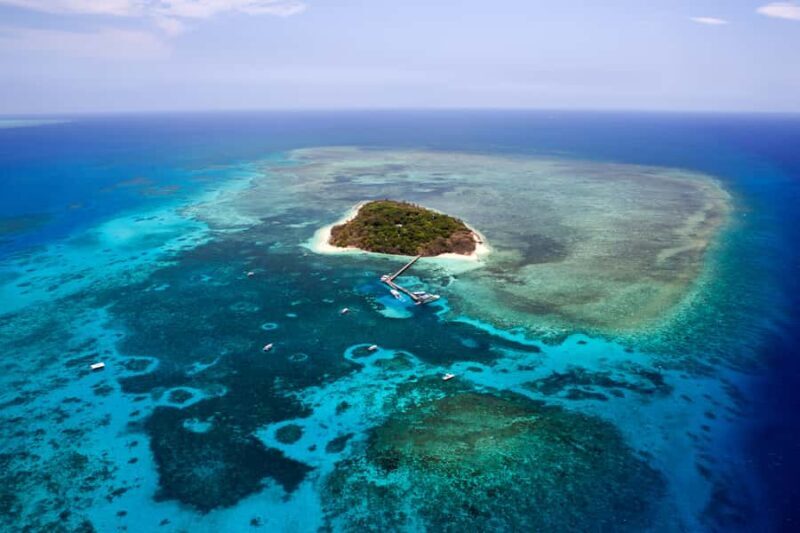 From Cairns: 40-Min Scenic Reef Window Seat Airplane Flight - An Overview of the Experience