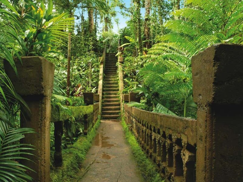 From Cairns: Atherton Tablelands and Paronella Park Day Trip - The Sum Up