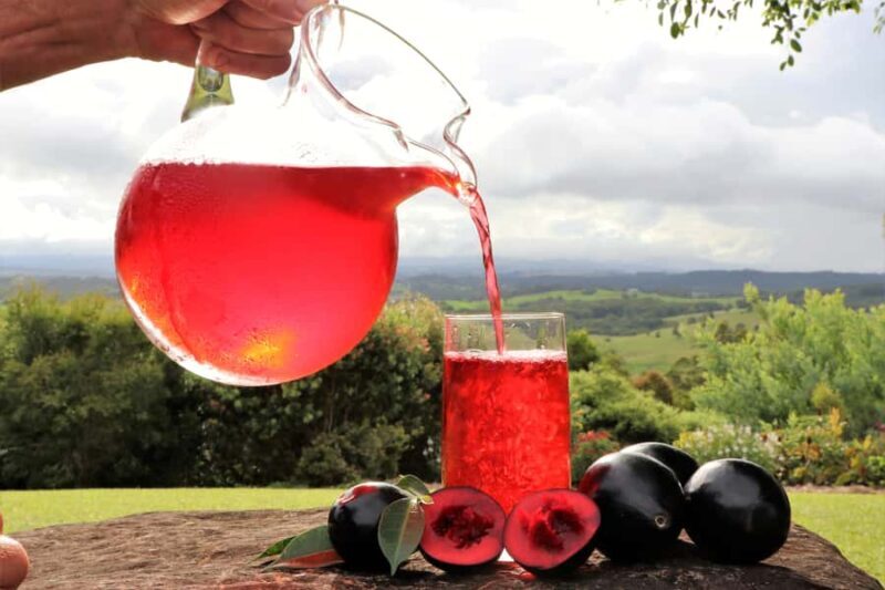 From Cairns: Atherton Tablelands Food and Wine Tasting Tour - The Sum Up