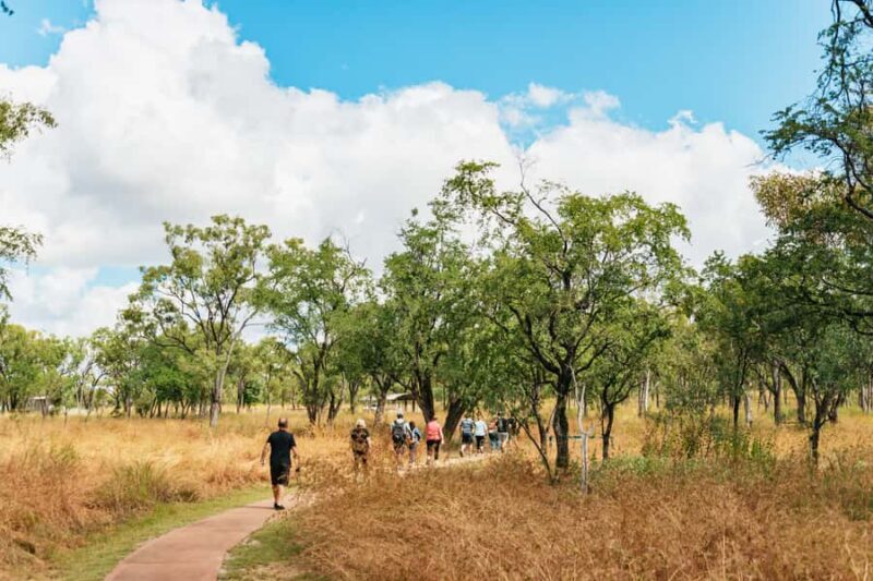 From Cairns: Chillagoe Caves and Outback Full-Day Tour - Exploring the Limestone Landscape and Aboriginal Rock Art