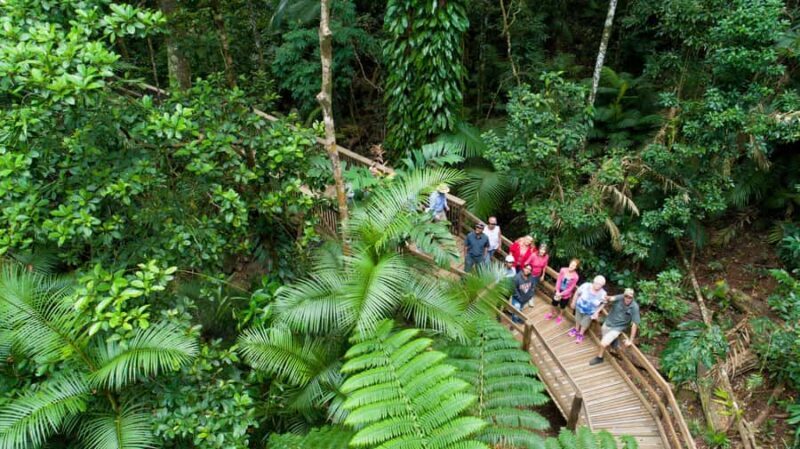 From Cairns: Daintree Rainforest & Cape Tribulation 4WD Tour - Authentic Experiences & Practical Insights