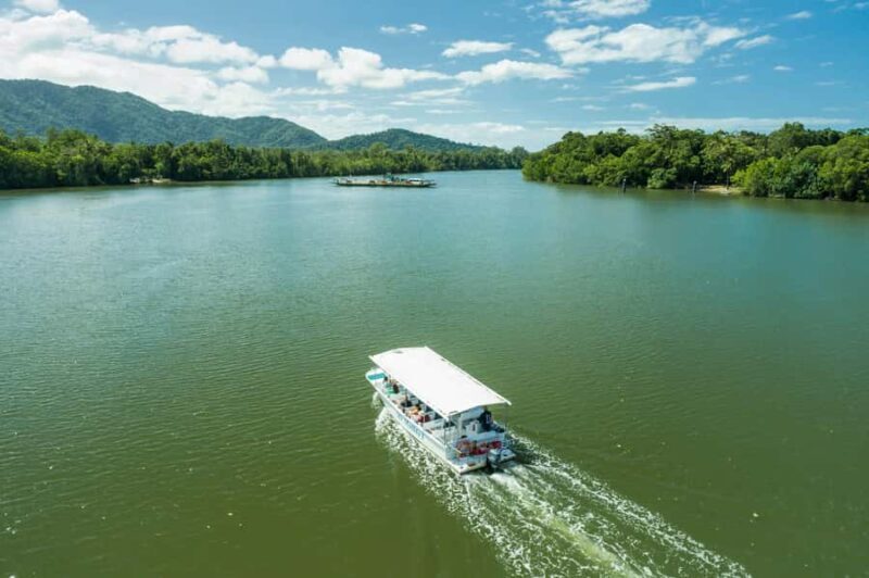 From Cairns: Daintree Rainforest & Cape Tribulation 4WD Tour - Final Thoughts