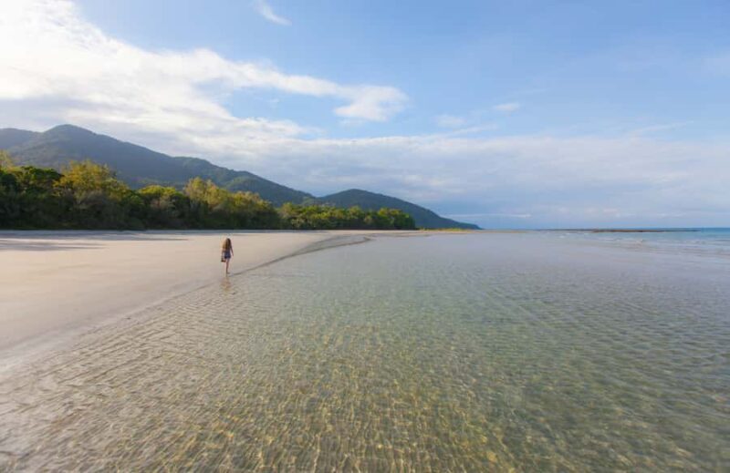 From Cairns: Daintree Wilderness & Cape Tribulation Bus Tour - An Overview of the Tour Experience
