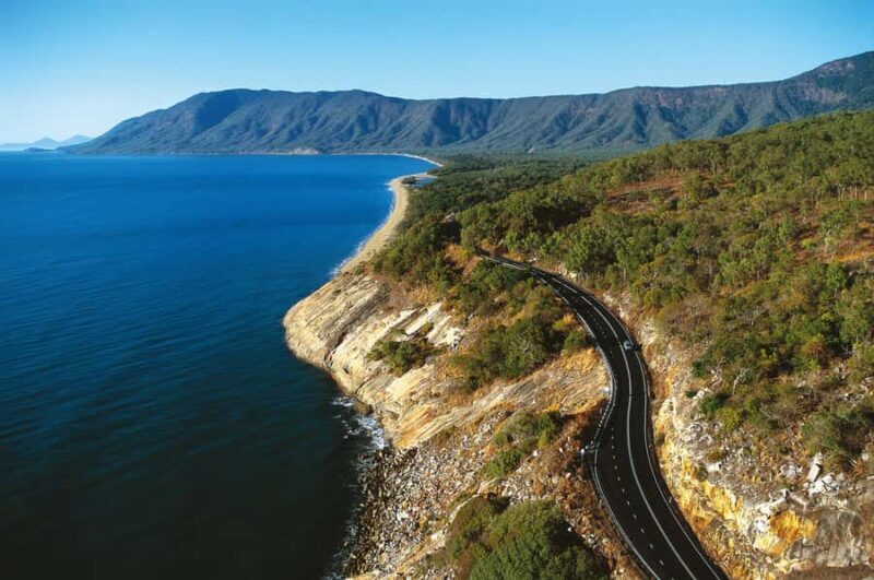 From Cairns: Daintree Wilderness & Cape Tribulation Bus Tour - Deep into the Daintree Rainforest and Lunch at Cape Tribulation