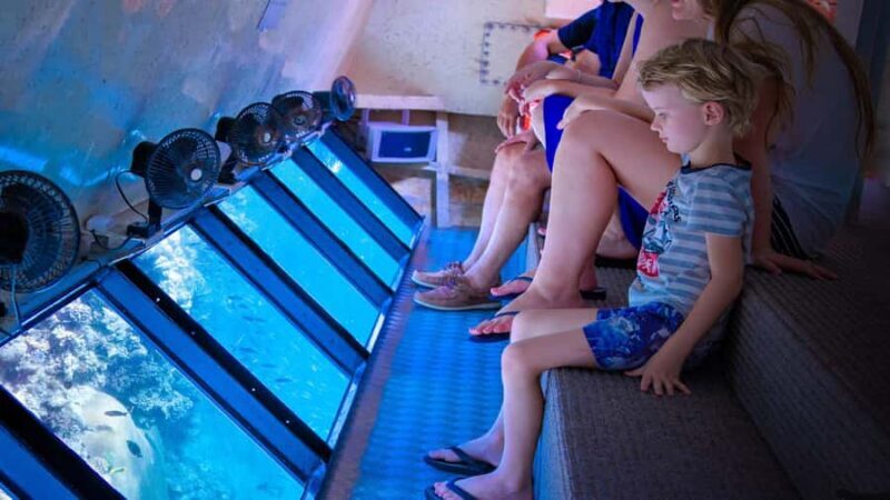 From Cairns: Frankland Island All-Inclusive Day Tour - Introduction: A Well-Rounded Reef and Rainforest Adventure