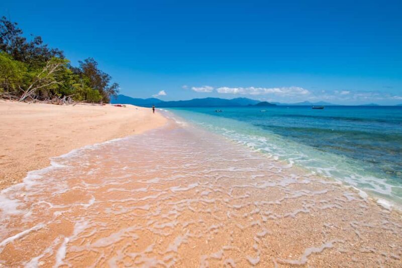 From Cairns: Frankland Island All-Inclusive Day Tour - Final Thoughts: Is It Worth It?