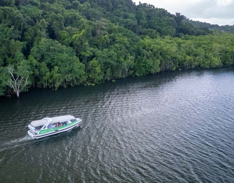 From Cairns: Frankland Islands Express Tour - The Sum Up