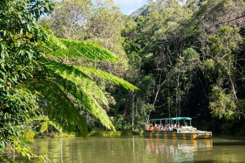 From Cairns: Full-Day Kuranda Army Duck Experience Tour - An Overview of the Tour Experience