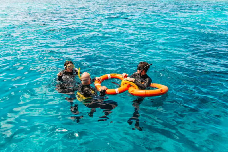 From Cairns: Great Barrier Reef Cruise by Premium Catamaran - Key Points