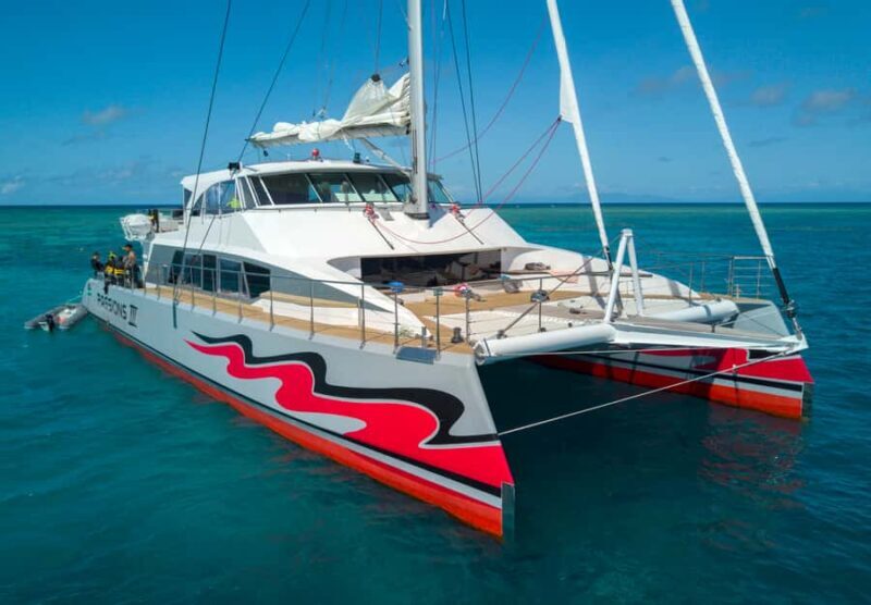 From Cairns: Great Barrier Reef Cruise by Premium Catamaran - An In-Depth Look at the Tour