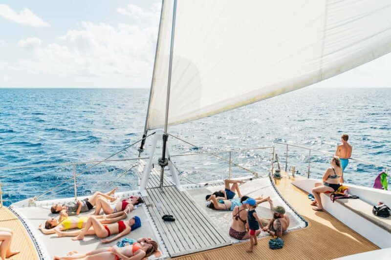 From Cairns: Great Barrier Reef Cruise by Premium Catamaran - Who Would Love This Tour?