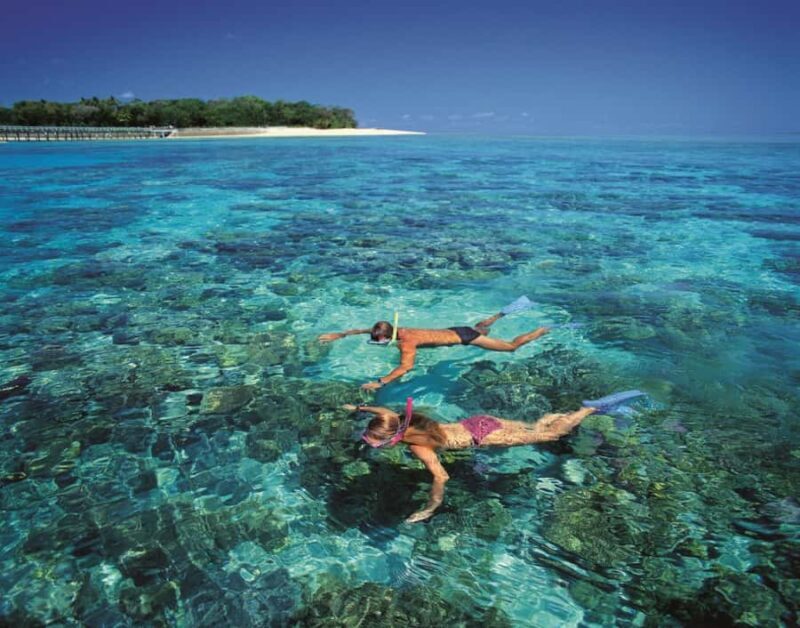 From Cairns: Green Island Half-Day Morning Cruise - A Practical Overview of the Green Island Half-Day Cruise