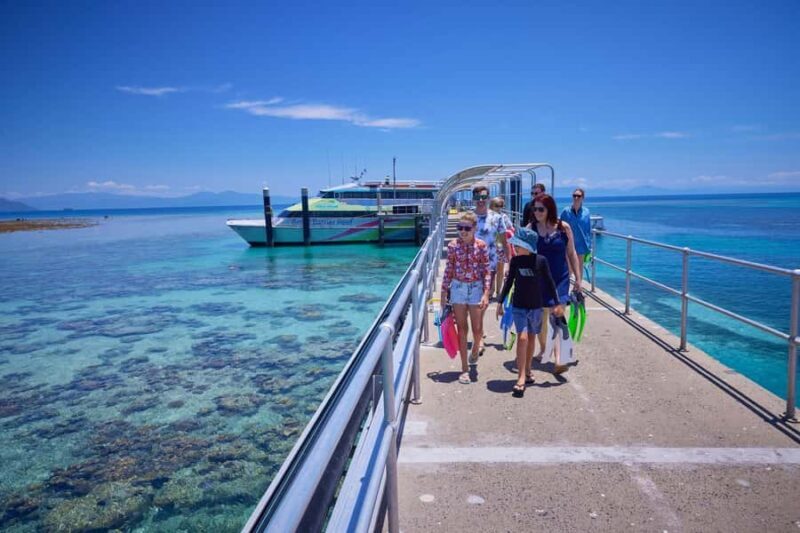 From Cairns: Green Island Half-Day Morning Cruise - The Guided Tours and Educational Value