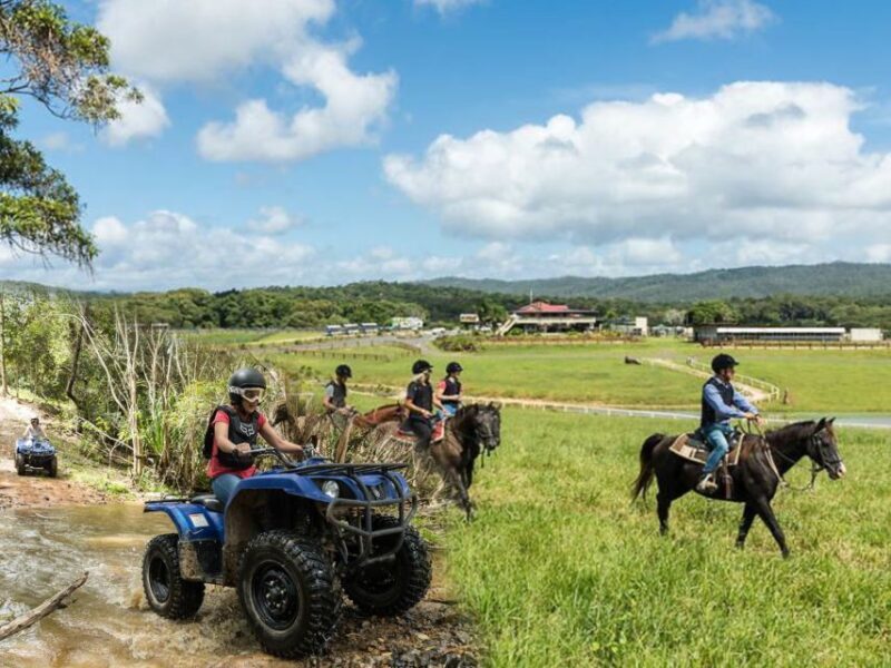 From Cairns: Kuranda Day Trip with Petting Zoo and Quad Ride - Who This Tour is Best For