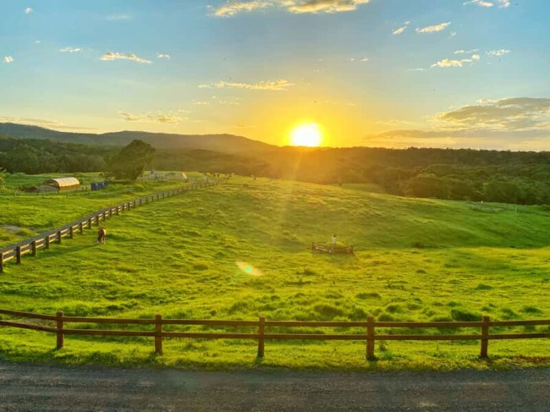 From Cairns: Kuranda Day Trip with Petting Zoo and Quad Ride - FAQs