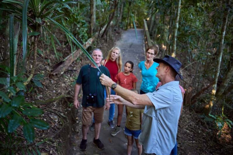 From Cairns: Rainforest & Nocturnal Wildlife Tour - FAQs