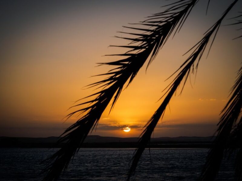 From Cairo: 3-Day Siwa Oasis and Western Desert Private Trip - Final Thoughts