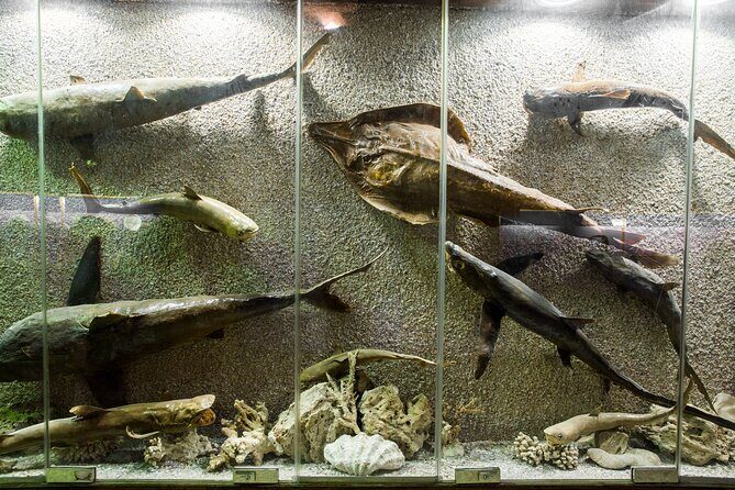 From Cairo: Alexandria Catacombs and Citadel Day Trip with Lunch - Final Thoughts