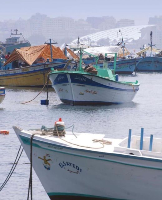From Cairo: Alexandria Like a Local True Authentic Tour - FAQ