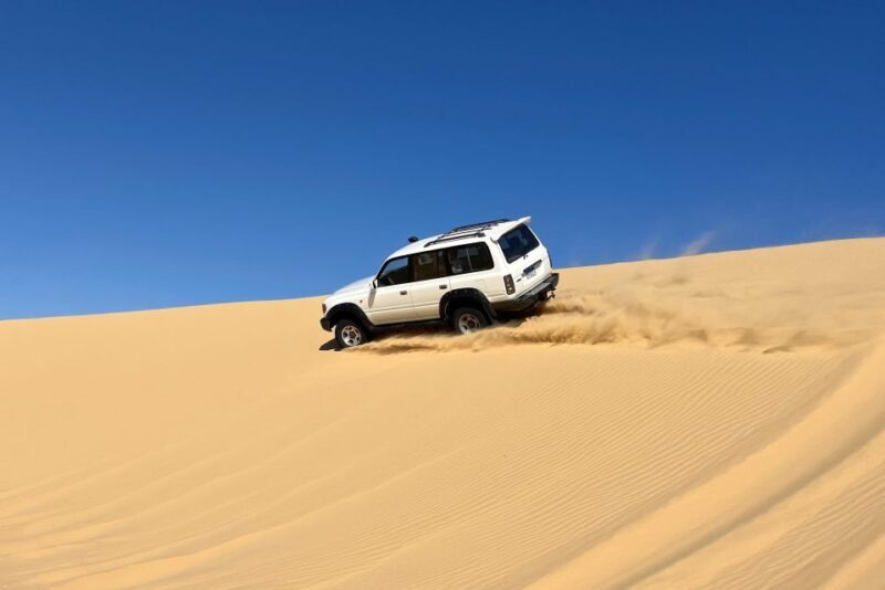 From Cairo: Desert Safari, Camel Ride, Magic Lake, & Lunch - An In-Depth Look at the Tour Experience
