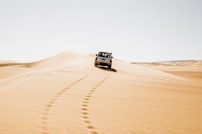 From Cairo: Desert Safari, Waterfalls, Sand boarding and Camel ride with Lunch - What to Expect on the Tour