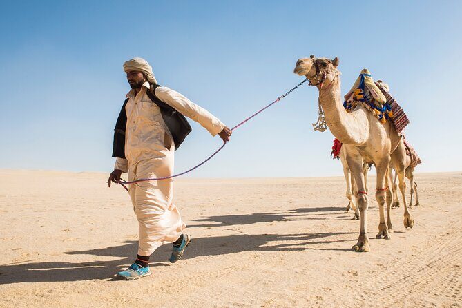 From Cairo: Desert Safari, Waterfalls, Sand boarding and Camel ride with Lunch - Who Will Love This Tour?