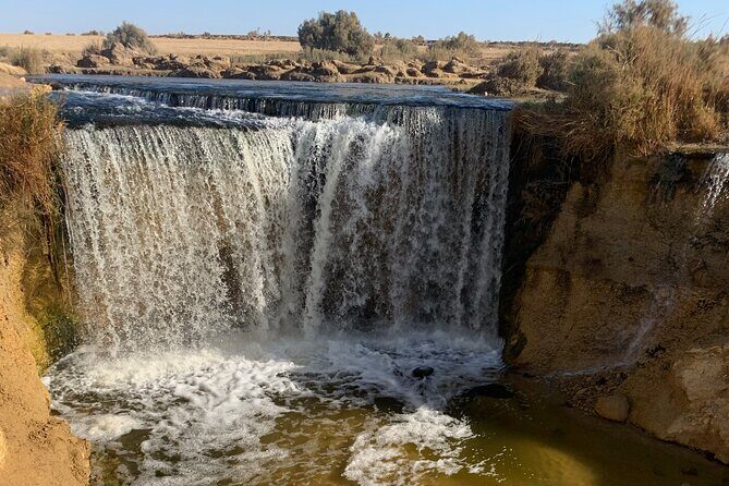From Cairo: Desert Safari, Waterfalls, Sand boarding and Camel ride with Lunch - Final Thoughts: Is It Worth It?