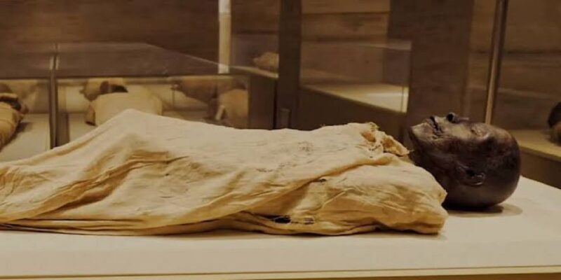 From Cairo: Egyptian and Civilization Museums Private Tour - What’s Included and How It’s Structured
