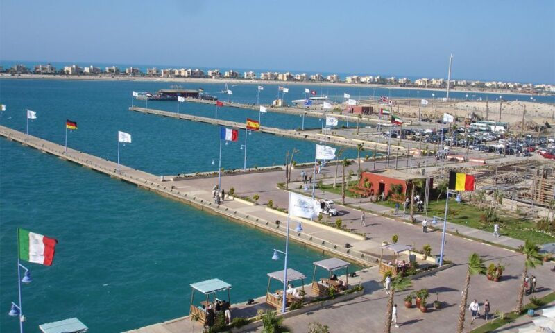 From Cairo: El Alamein and Alexandria Guided Day Tour - Key Points