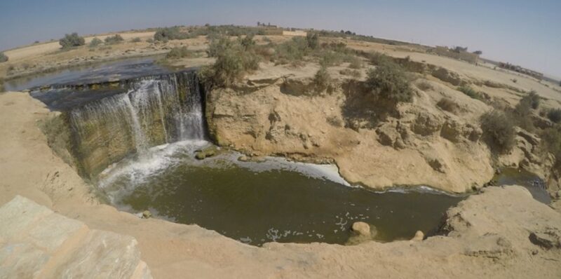 From Cairo: Fayoum Oasis and Wadi Al Rayan Guided Tour - The Sum Up