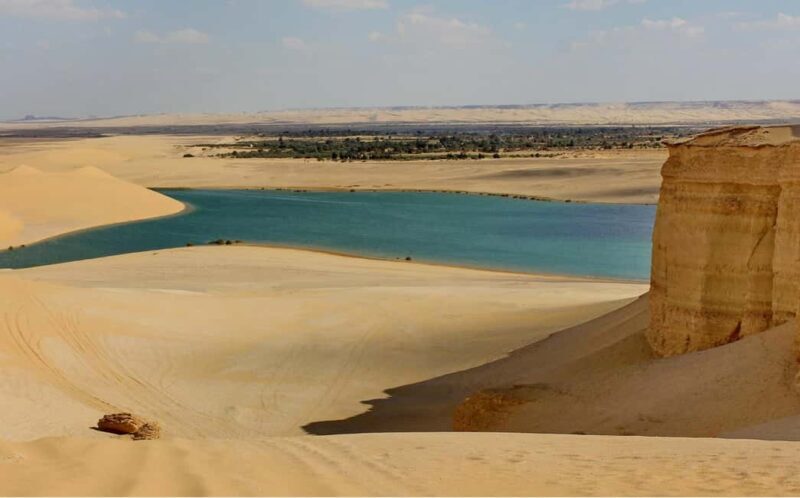 From Cairo: Full-Day Tour To El Fayoum - Practical Tips for Travelers