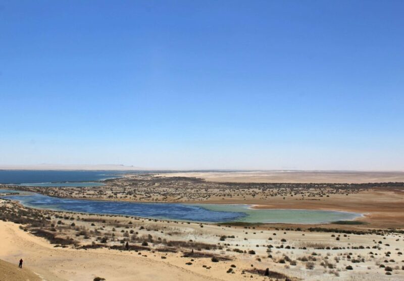 From Cairo: Full-Day Tour To El Fayoum - Who Should Book This Tour?