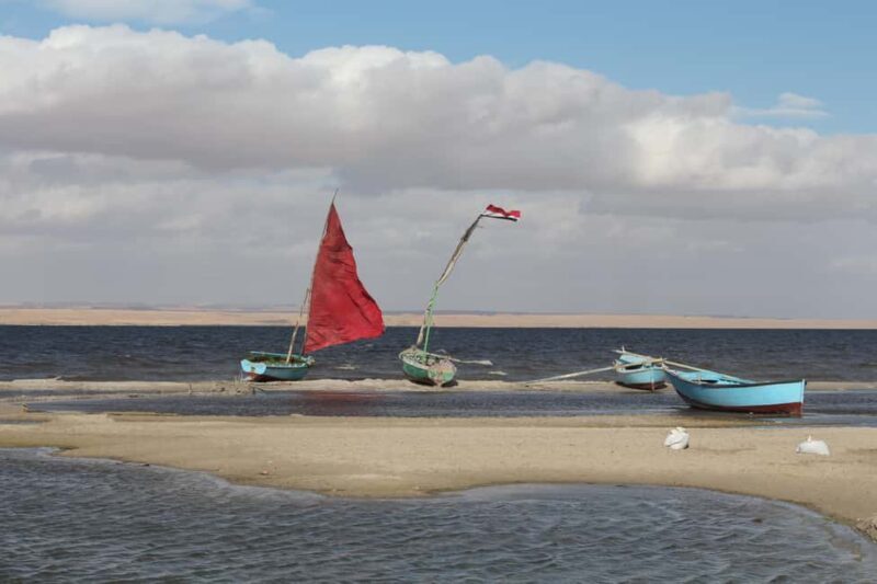 From Cairo: Full-Day Tour To El Fayoum - FAQs