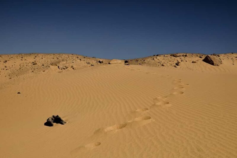 From Cairo :Private 5 Days 4 Nights to Gara Cave Desert Tour - Who Should Consider This Tour?