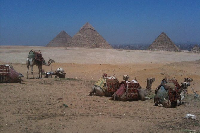 From Cairo: Private Crowd Free Half Day Pyramids Adventure - Final Thoughts: Who Will Love This Tour?