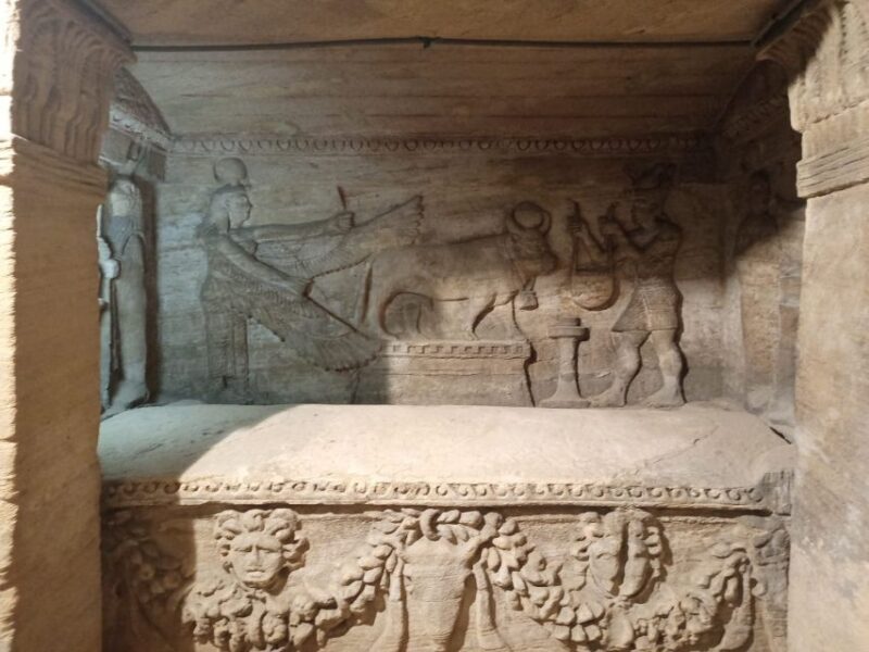 From Cairo: Private Luxurious Day Trip to Alexandria - Key Points