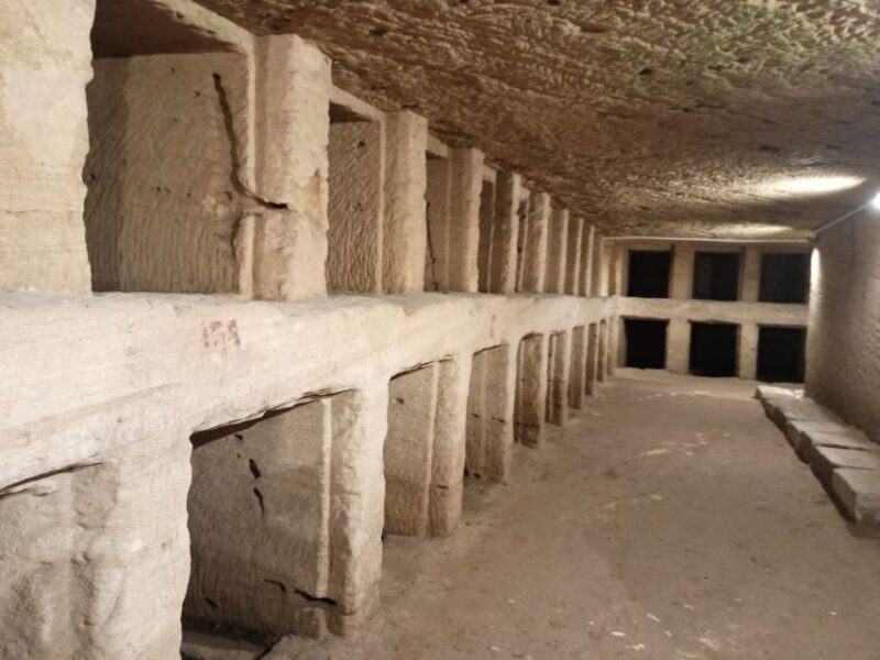 From Cairo: Private Luxurious Day Trip to Alexandria - Who Should Consider This Tour?