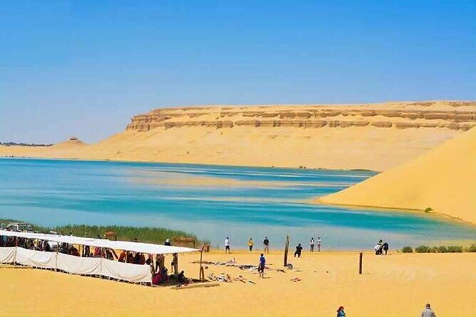 From Cairo to Whales Valley and Wadi El Rayan Waterfalls - Who Should Consider This Tour?