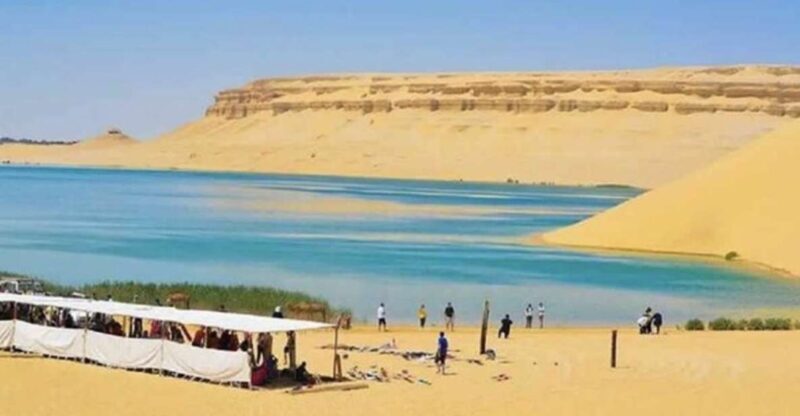From Cairo: Whale Valley and Wadi El Rayan Waterfalls Tour - A Deep Dive into the Fayoum Day Trip