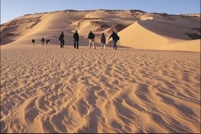From Cairo: Whale Valley and Wadi El Rayan Waterfalls Tour - Authenticity and Guest Feedback