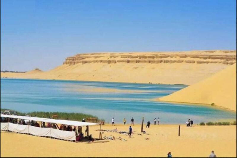From Cairo: Whale Valley and Wadi El Rayan Waterfalls Tour - FAQ