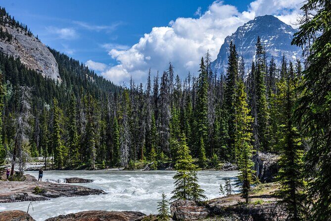From Calgary Banff and Yoho National Park and Lake Louise Tour - Guides and Group Dynamics