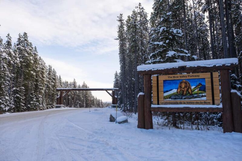 From Calgary/Banff/Canmore: Rockies Day Trip with Icefield - Transportation, Price, and Value