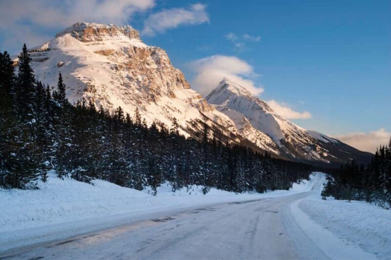 From Calgary/Banff/Canmore: Rockies Day Trip with Icefield - Who Will Love This Tour?
