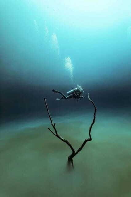 From Cancun: Angelita and Taj Ma Ha Cenote Diving Experience - The Practicalities: Transport, Timing, and Comfort